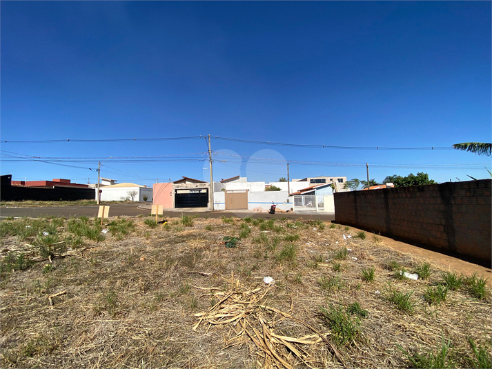 Foto REO1116431
