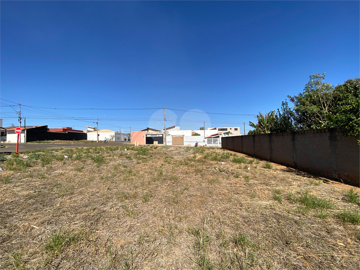 Foto REO1116431