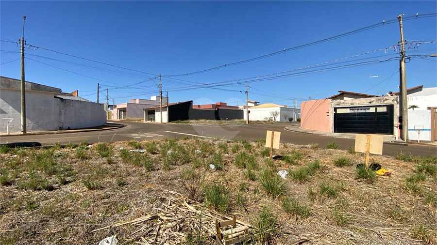 Foto REO1116433