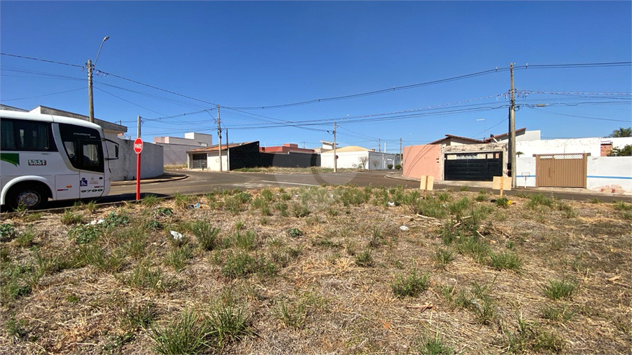 Foto REO1116433