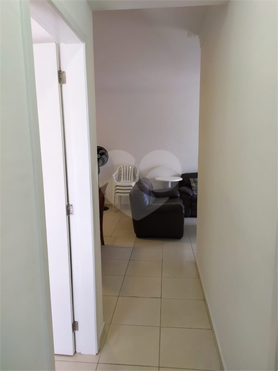 Foto REO1116436