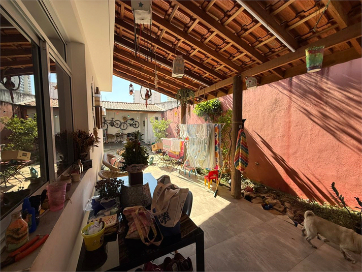 Foto REO1116438