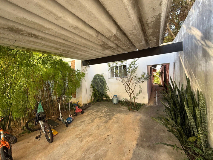 Foto REO1116438