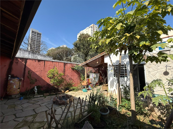 Foto REO1116438