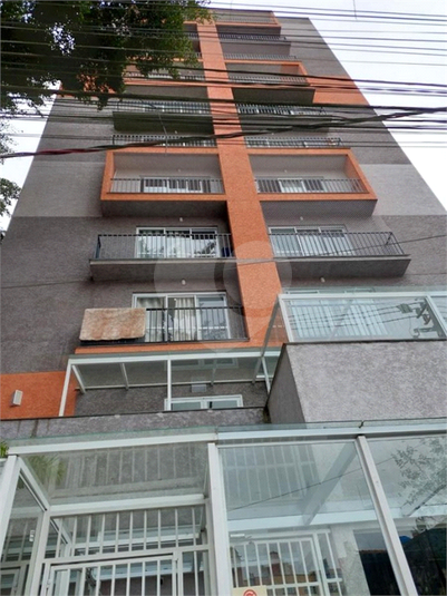 Foto REO1116440