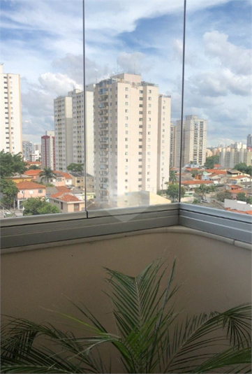 Foto REO1116441