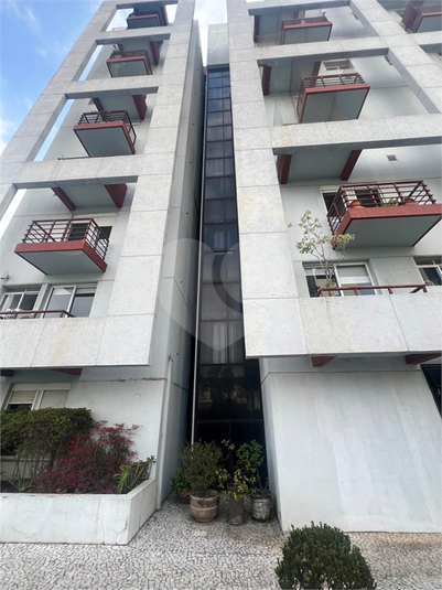 Foto REO1116445