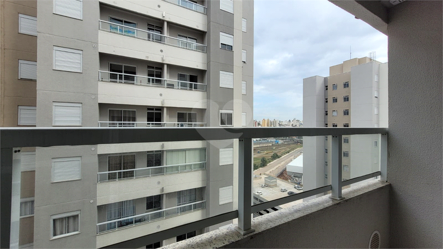 Foto REO1116446