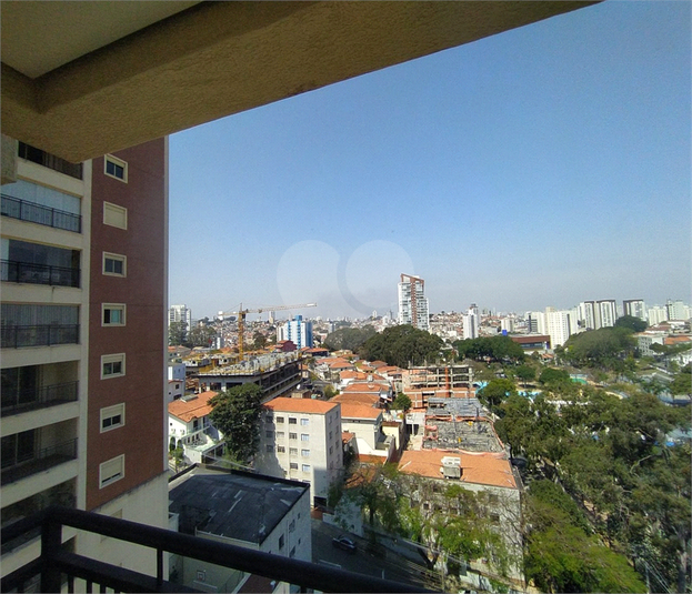 Foto REO1116451