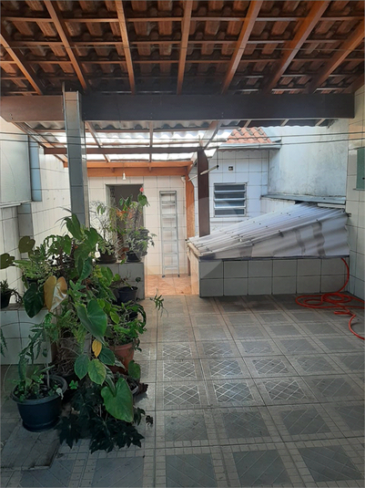 Foto REO1116454