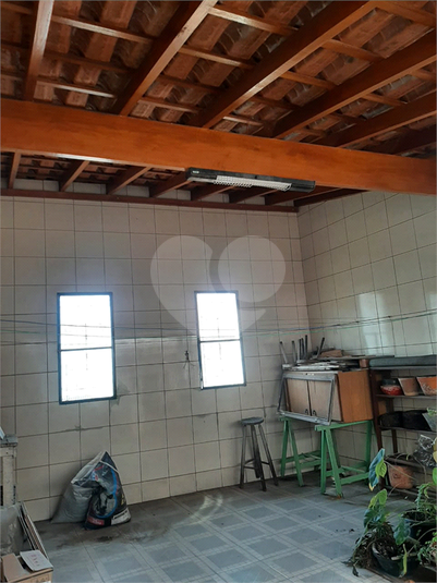 Foto REO1116454