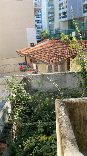 Foto REO1116457