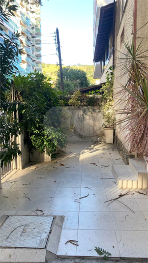 Foto REO1116457