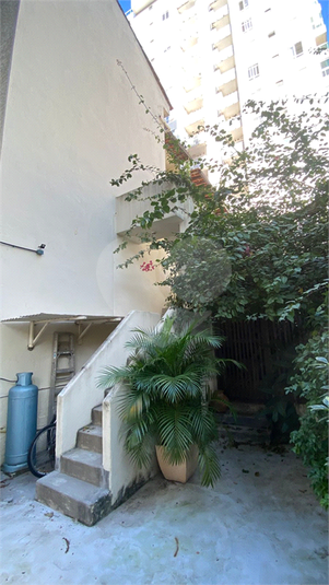 Foto REO1116457