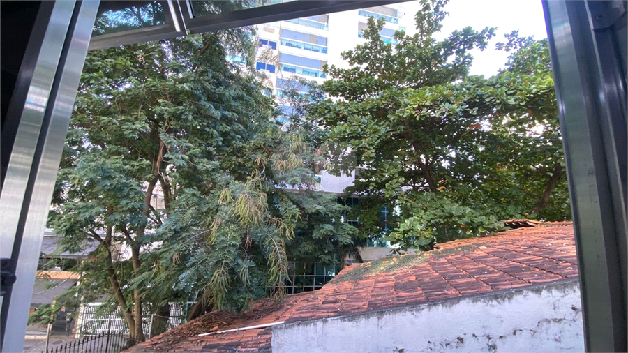 Foto REO1116457