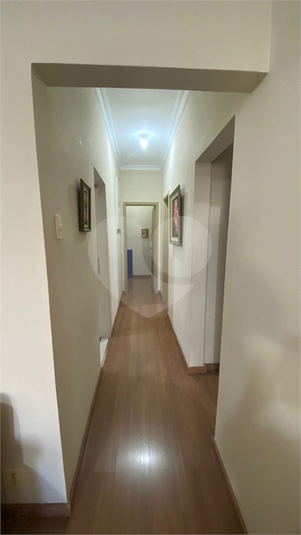Foto REO1116457