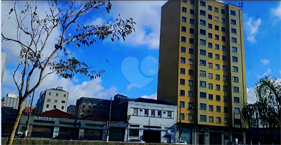 Foto REO1116460