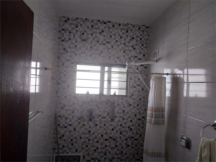 Foto REO1116464