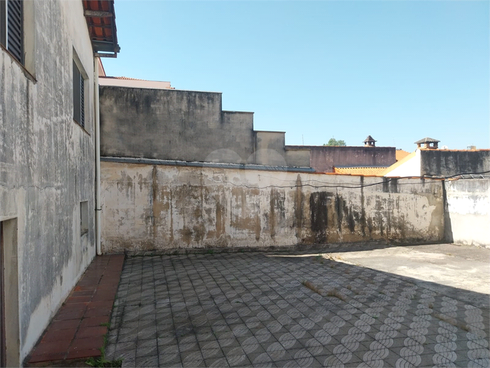 Foto REO1116464