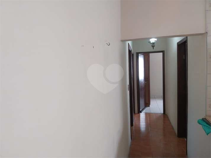 Foto REO1116464