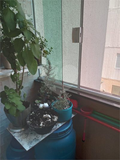 Foto REO1116470
