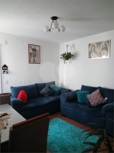 Foto REO1116470
