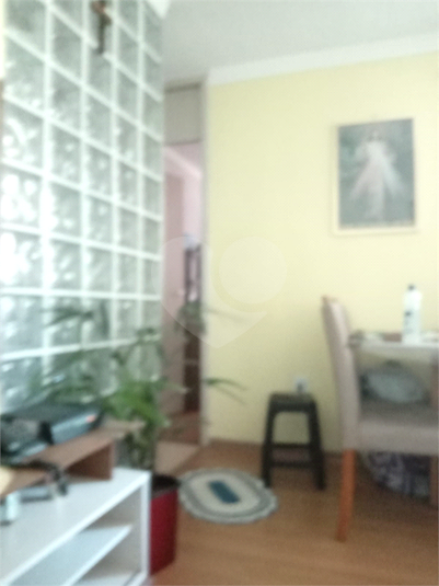 Foto REO1116470