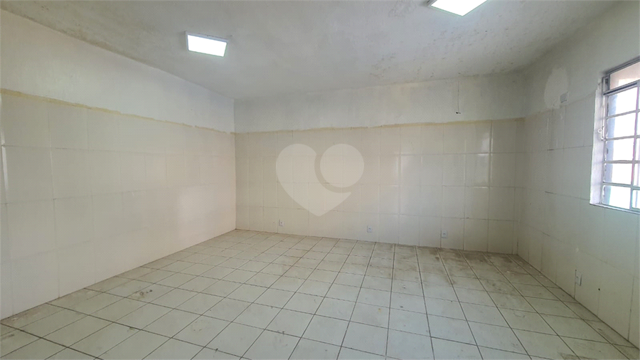Foto REO1116473