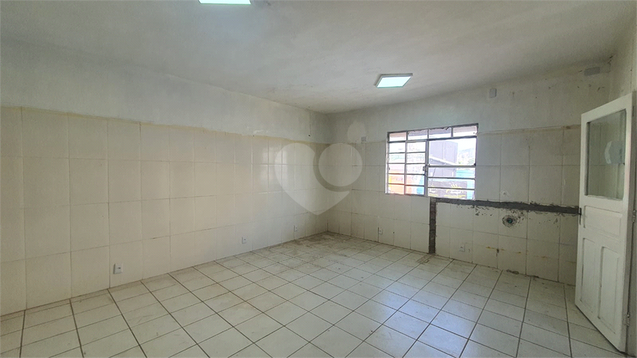 Foto REO1116473