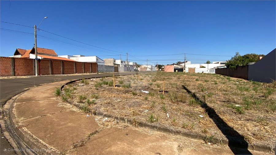 Foto REO1116476