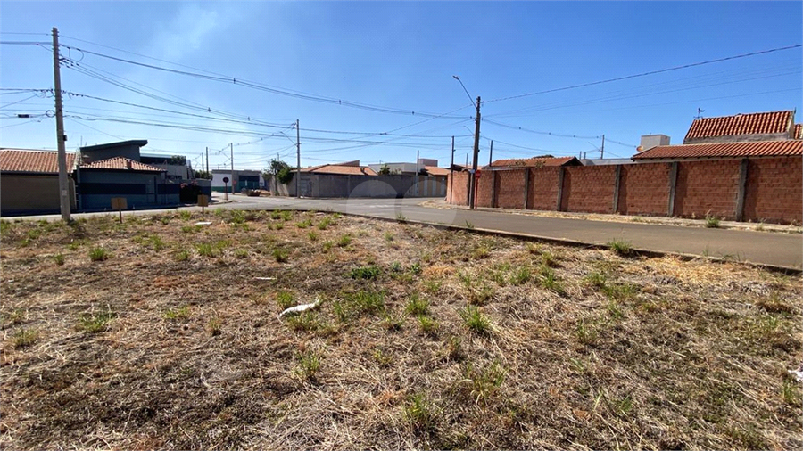 Foto REO1116476