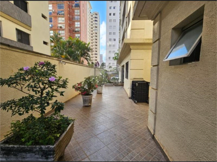 Foto REO1116477