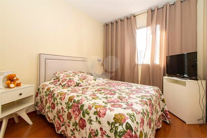 Foto REO1116485
