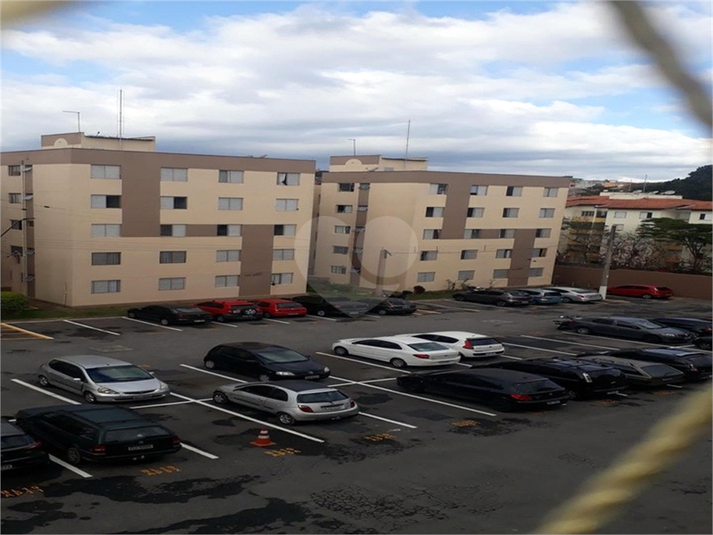 Foto REO1116492