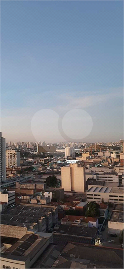 Foto REO1116496