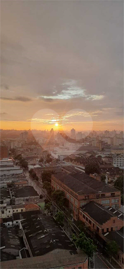 Foto REO1116496