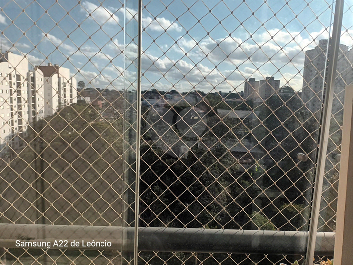 Foto REO1116513