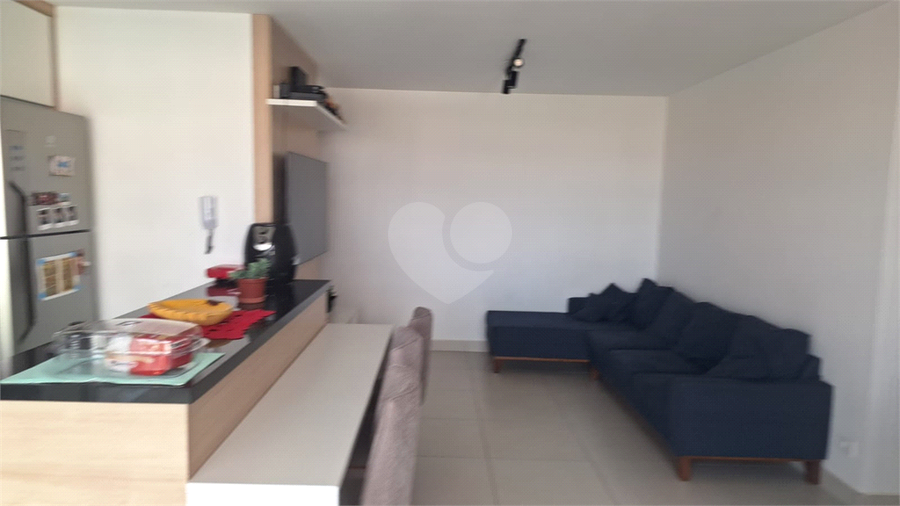 Foto REO1116522