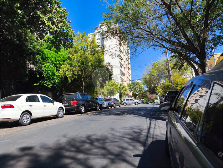 Foto REO1116523