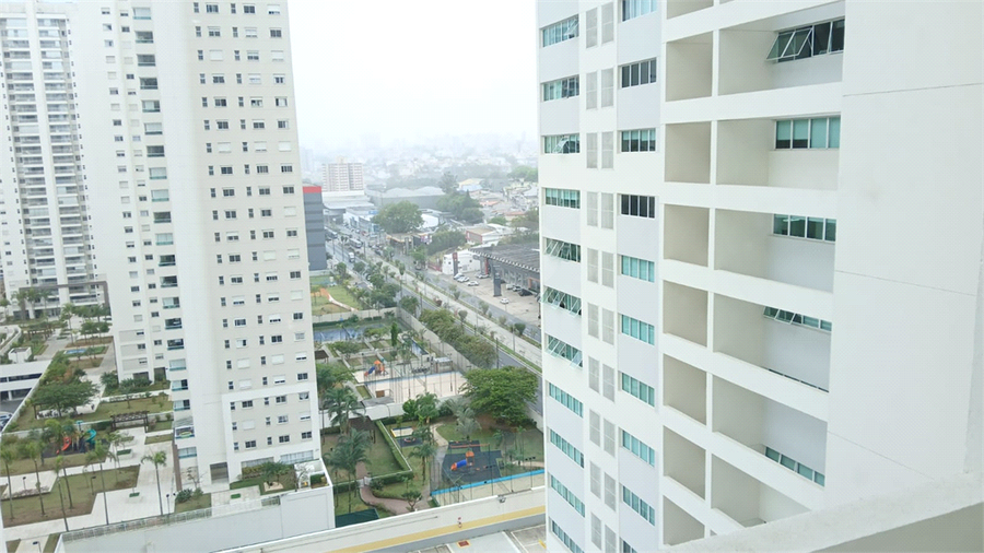 Foto REO1116531