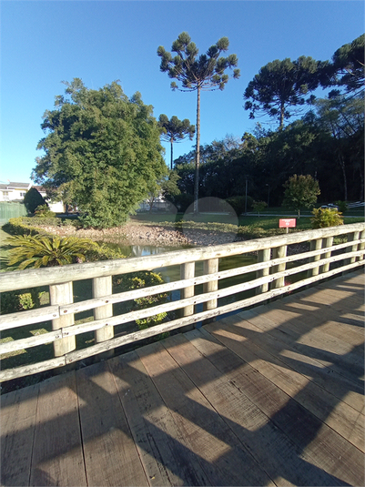 Foto REO1116550
