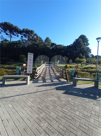 Foto REO1116550