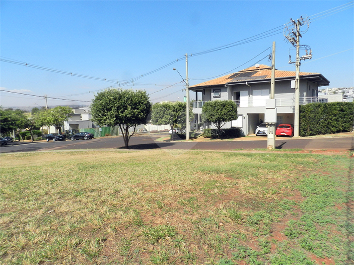 Foto REO1116552