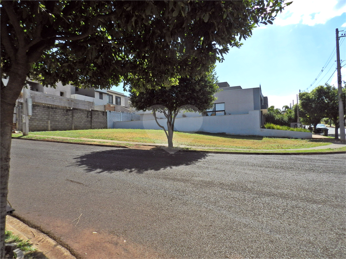 Foto REO1116552