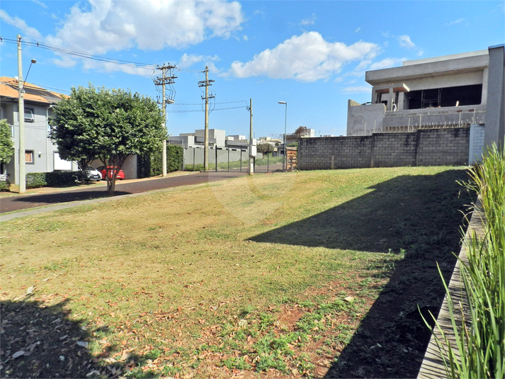 Foto REO1116552