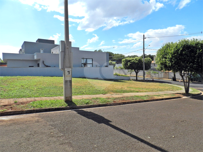 Foto REO1116552