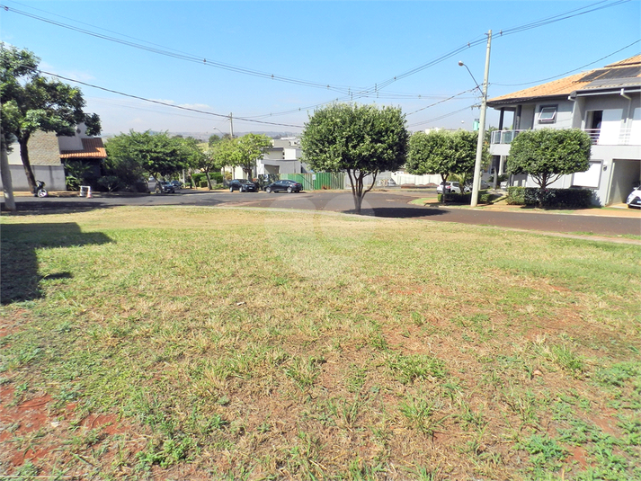 Foto REO1116552