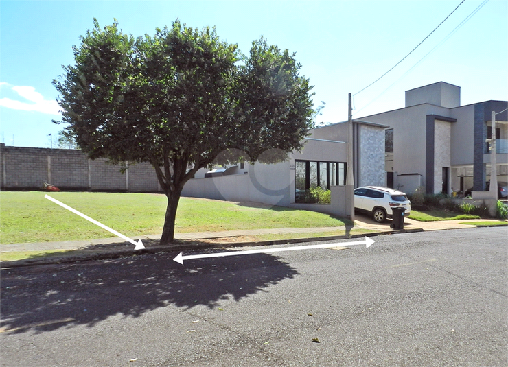 Foto REO1116554