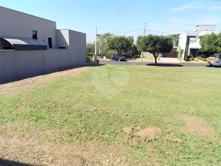 Foto REO1116554