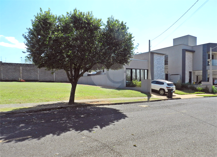 Foto REO1116554